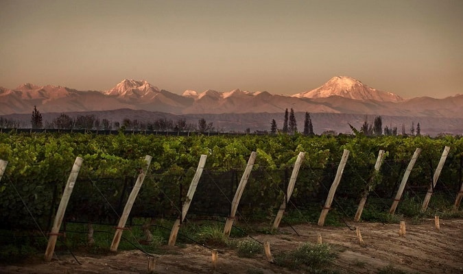 Melhores Vinícolas em Mendoza - ©Bodega Norton